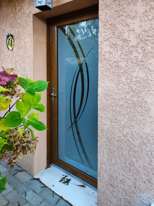 Entrée extérieure d'habitation avec porte vitrée moderne à motifs décoratifs courbes noirs